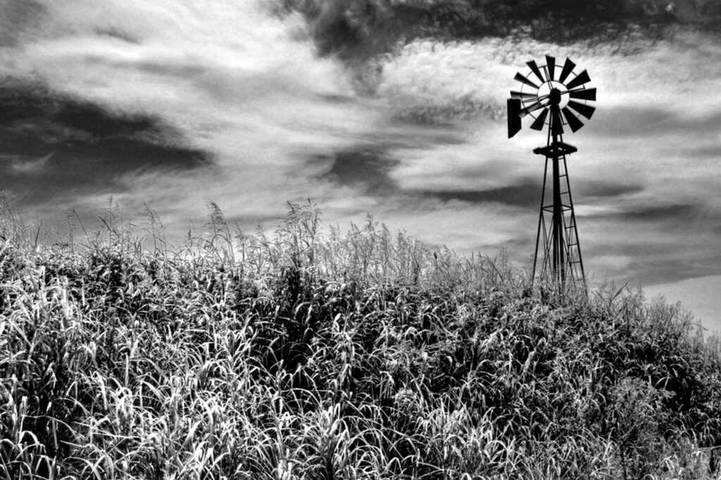 Timeless Monochrome Art: A Study in Simplicity and Depth